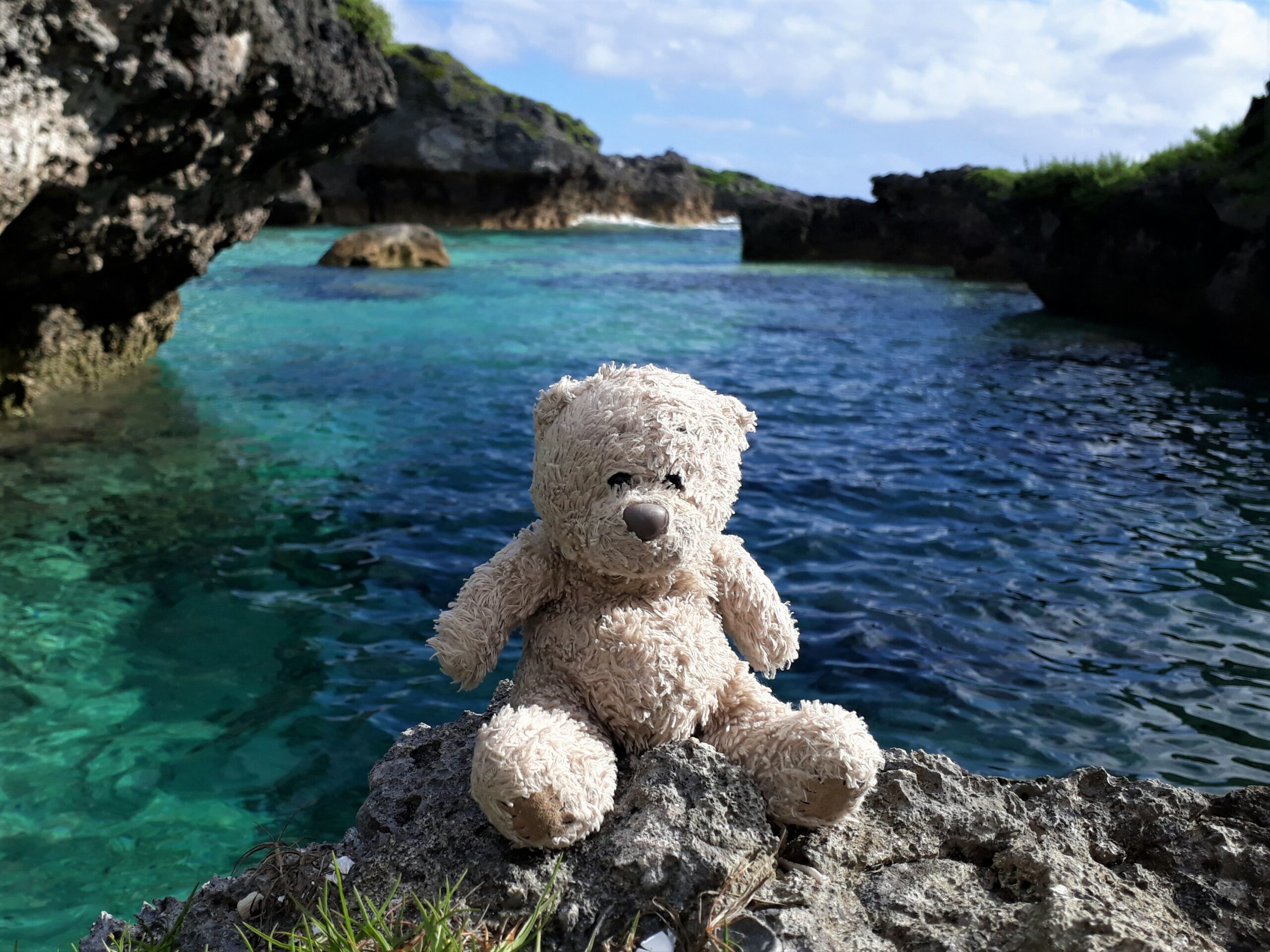 Finn - Dive Club Wellington's Mascot enjoying snorkeling at Limu Pools in Niue