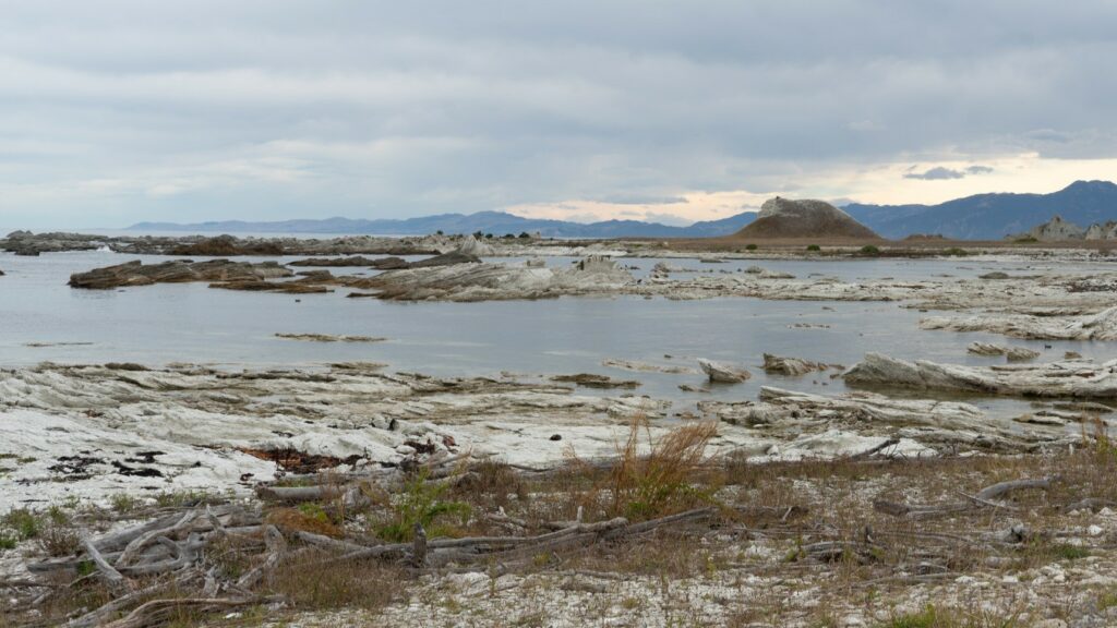 Kaikoura Beach - Our entry at Baxter's Reef