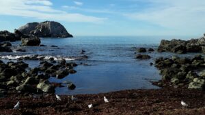 Barney's Rock from shore