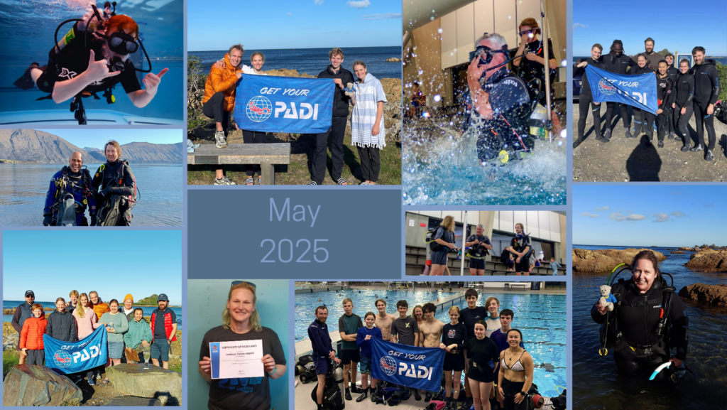 A collage of our divers training at the pool, doing PADI Courses or club dives here in Wellington