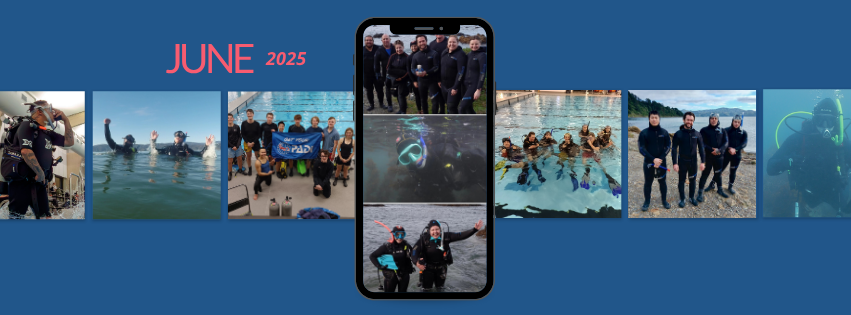 A collage of our divers out diving in August