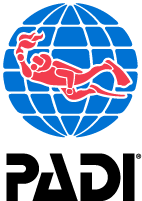 This is the PADI Dive logo