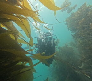 DCIM100GOPROGOPR0517.JPG