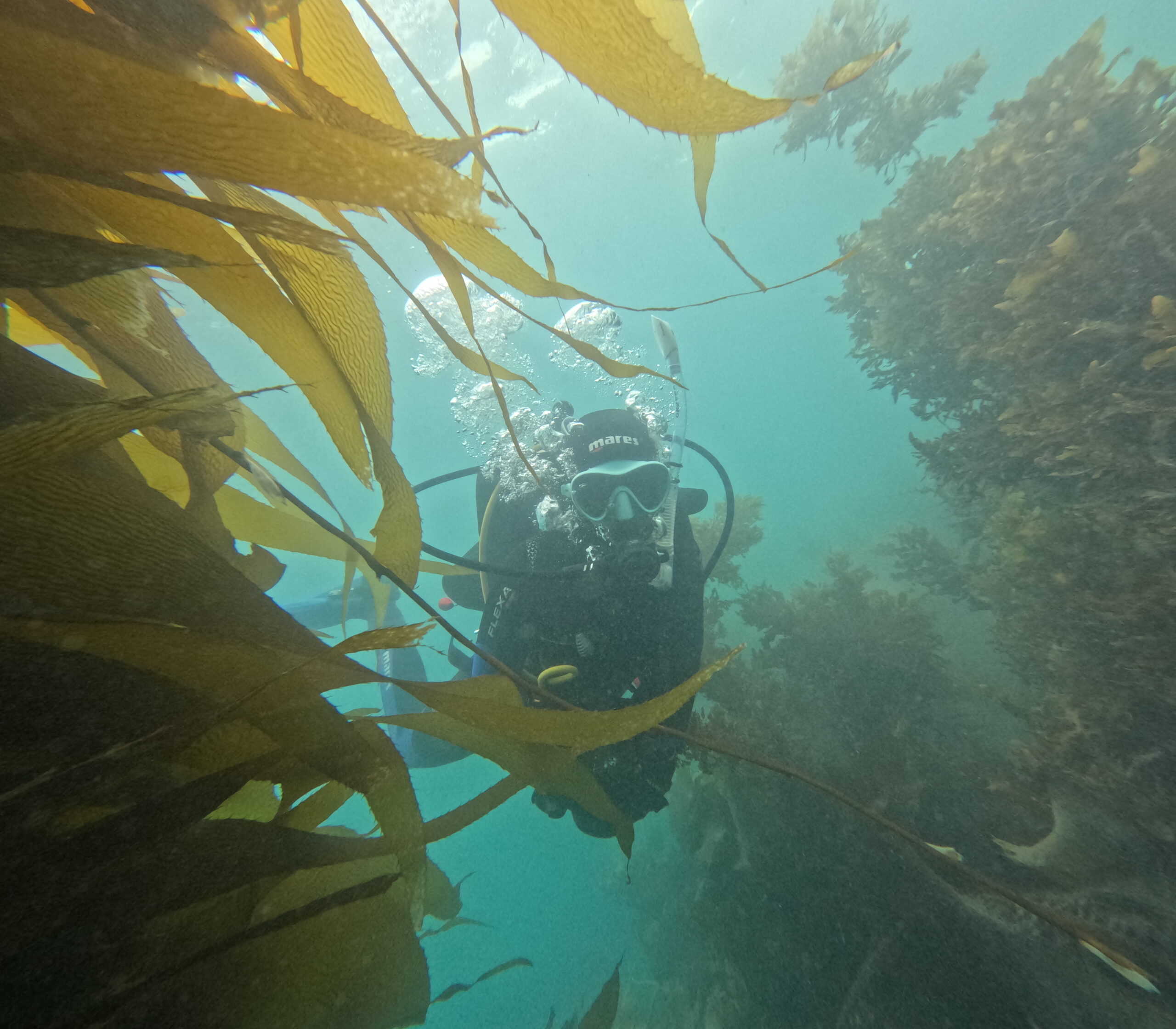 DCIM100GOPROGOPR0517.JPG
