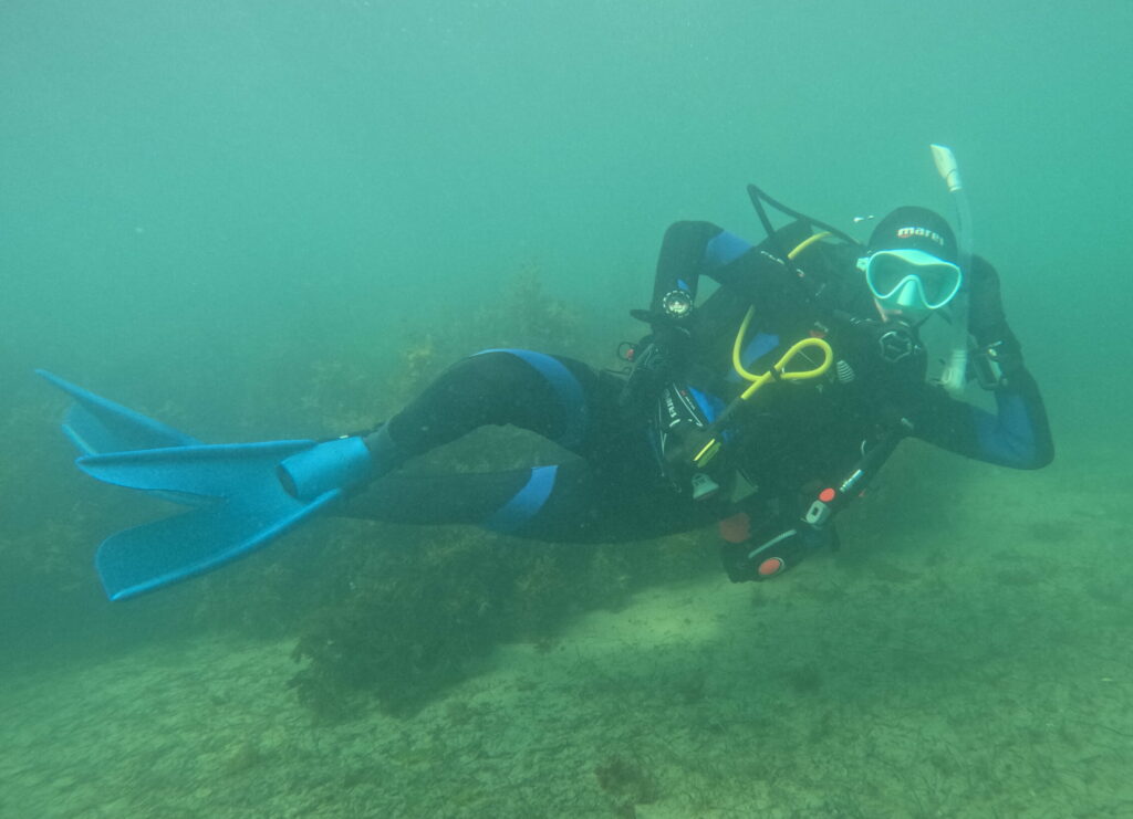 Phoebe relaxing underwater