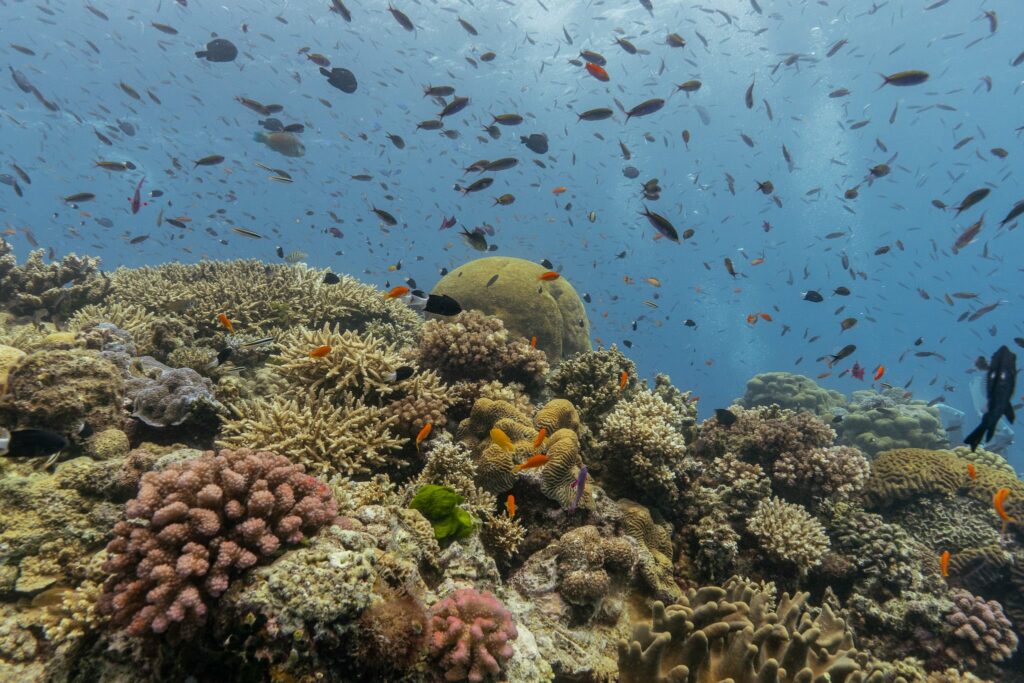 Great Barrier Reef Club Trip