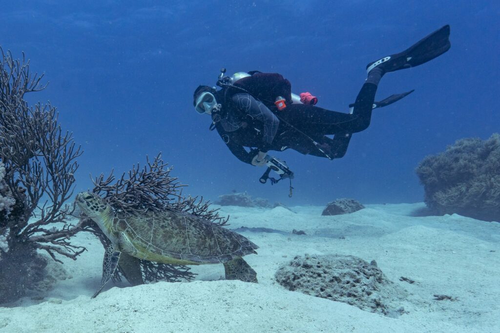 Claire with a Turtle on the Great Barrier Reef Club Trip