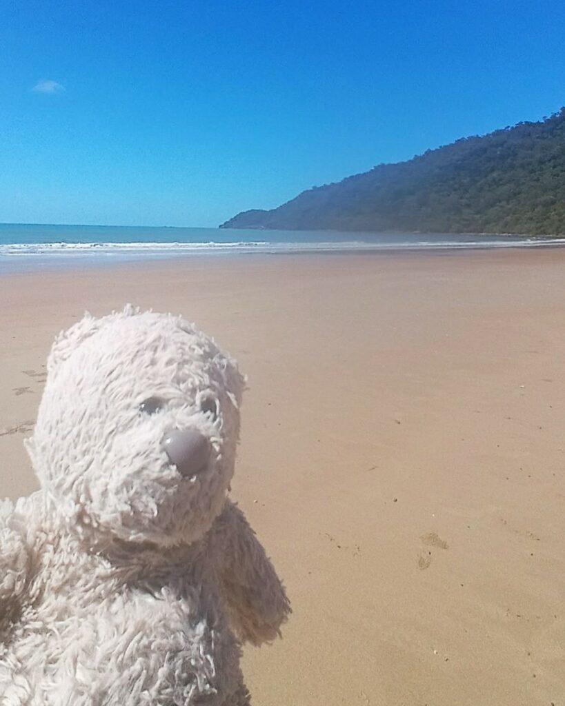 Dive Club Wellington Mascot Finn at  the Cow Bay, Cairns, Australia