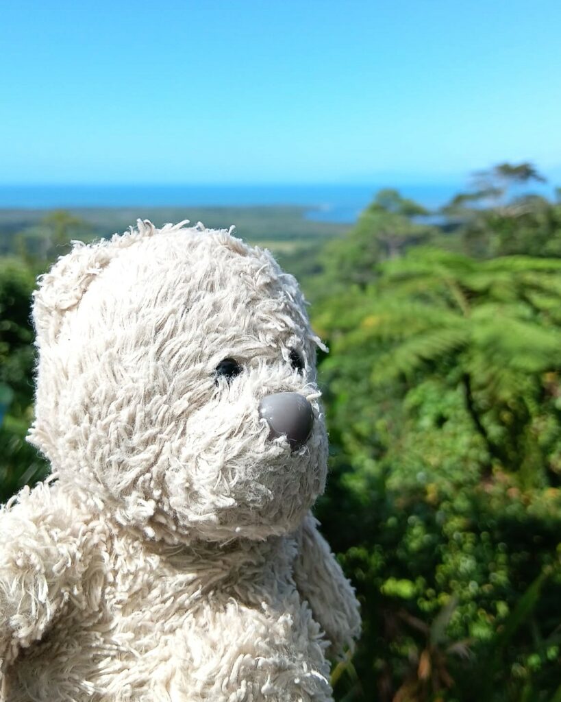 Dive Club Wellington Mascot Finn at  the Kuranda Lookout, Australia