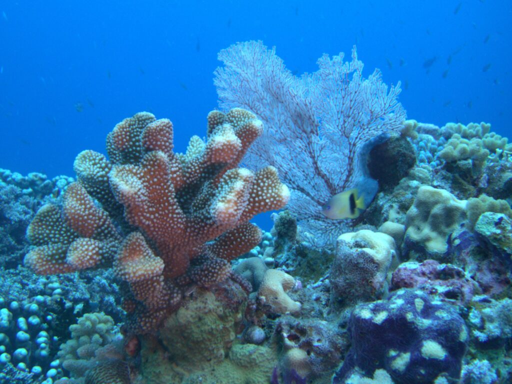 Great Barrier Reef