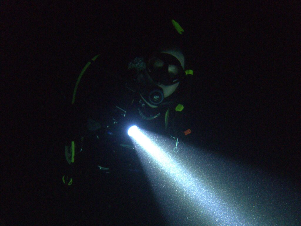 Night Diver