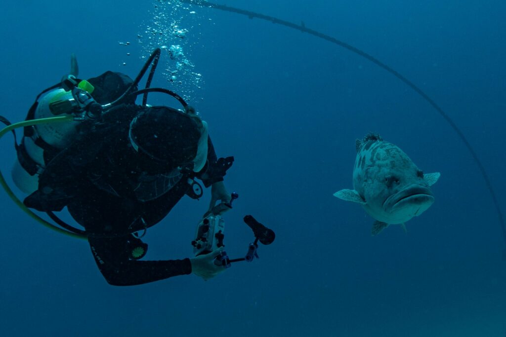 Claire with a large, 1m, Potato Cod