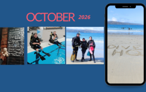 Our Dive Club Wellington divers
