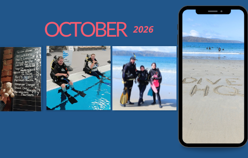 Our Dive Club Wellington divers