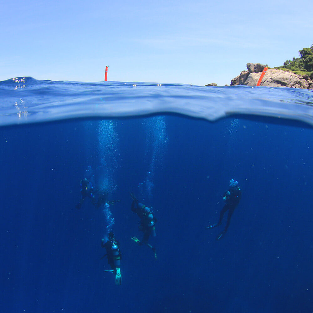 Looking to expand your dive group?